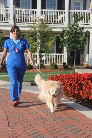 Cupola Animal Hospitals