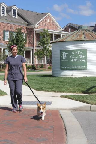 Cupola Animal Hospitals