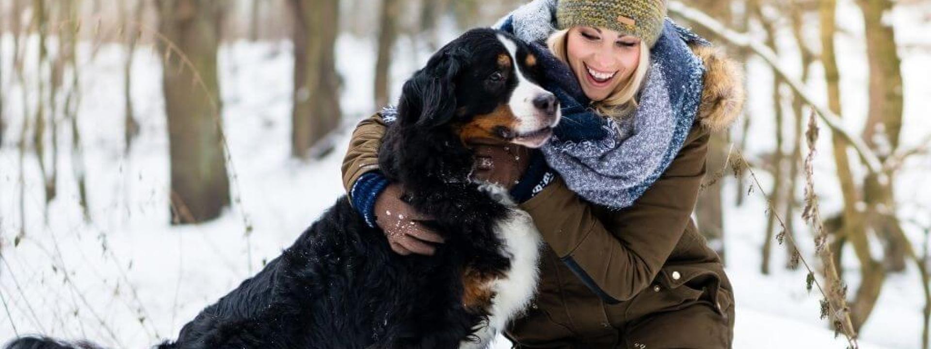 dog exercise tips for winter